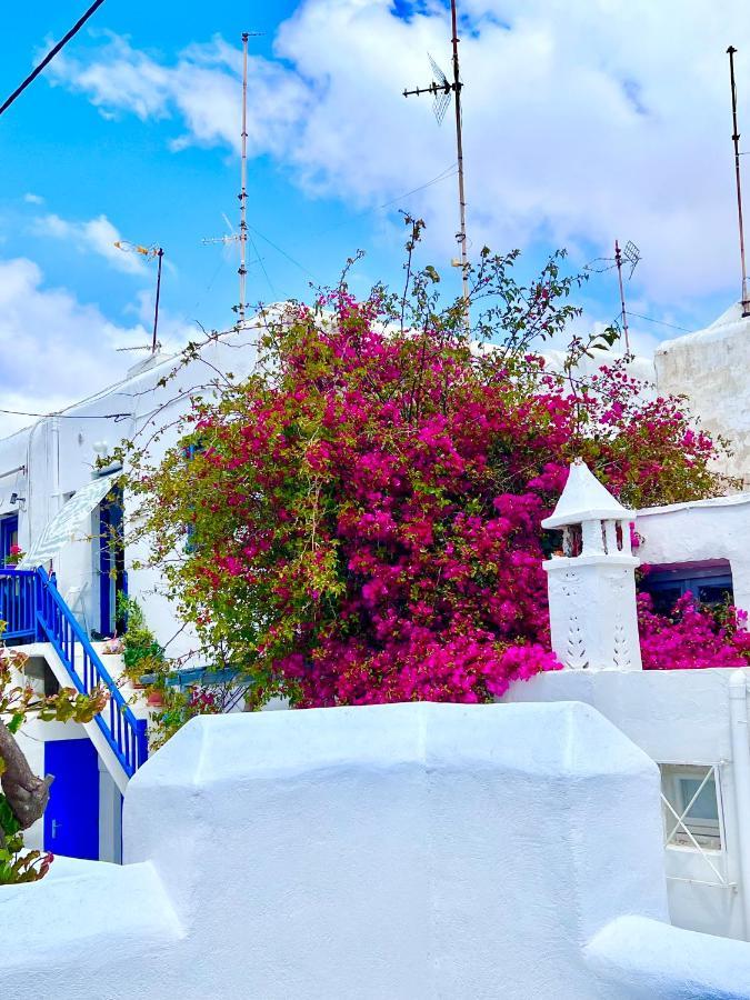 Provis Rentals Suite Next To The Mills In Mykonos Town Екстериор снимка